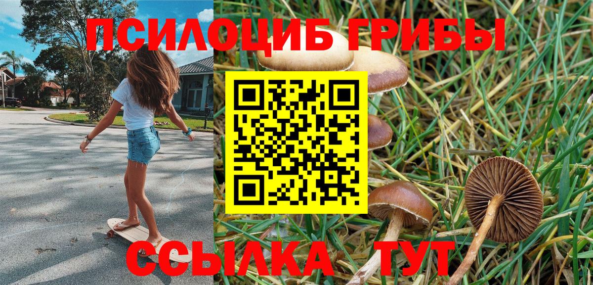 Галлюциногенные грибы мухоморы Кировск